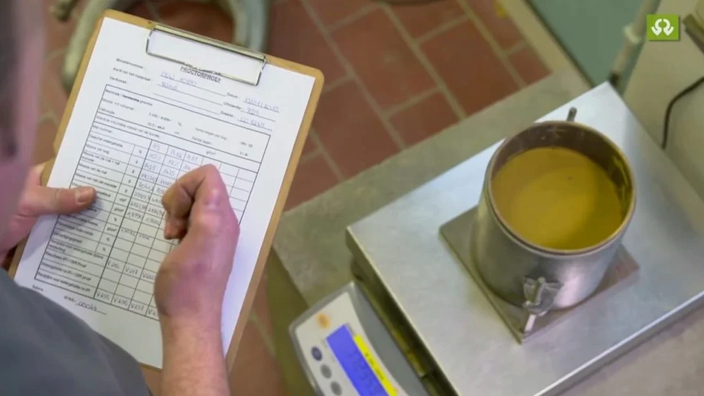 Proctor Test in Cheyenne: Maximum Dry Density & Optimum Moisture for Local Soils